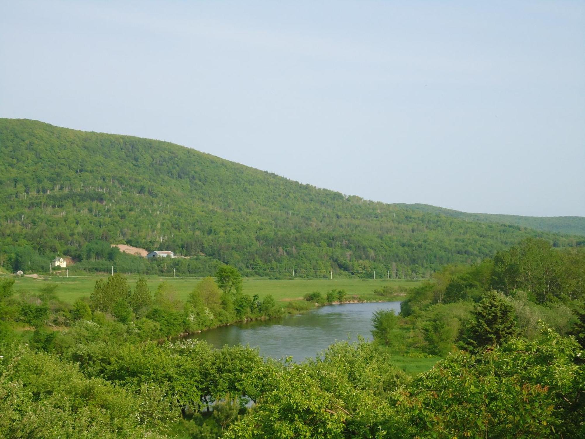 Cajun Cedar Log Cottages Margaree Forks Kültér fotó