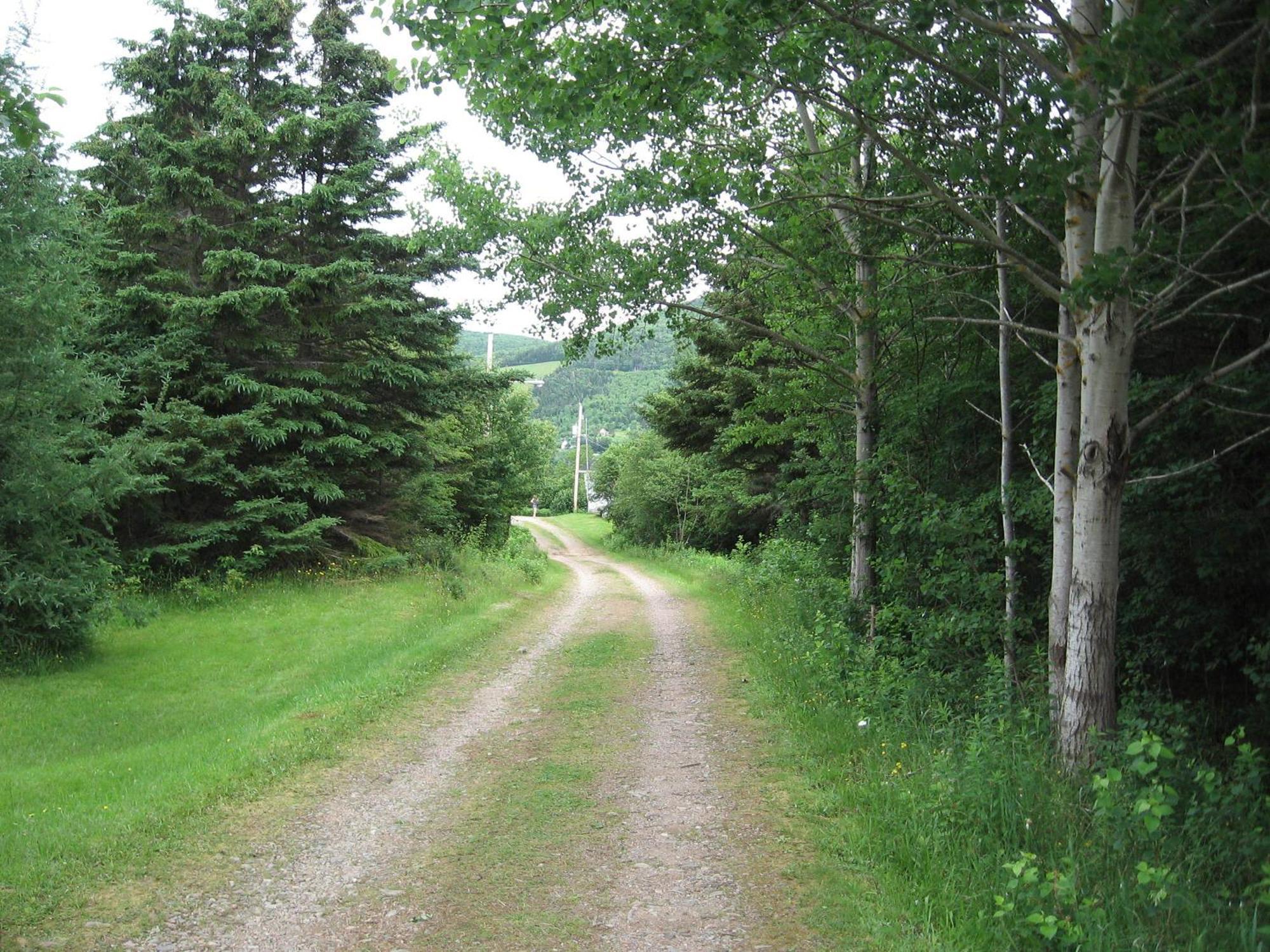Cajun Cedar Log Cottages Margaree Forks Kültér fotó