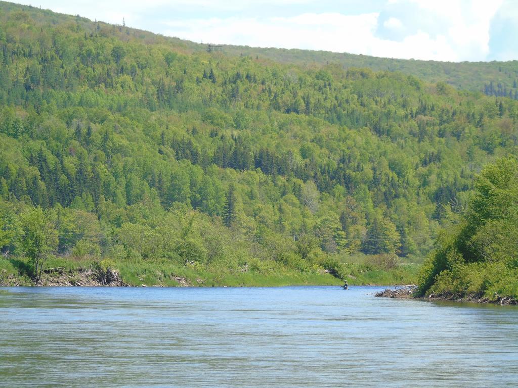 Cajun Cedar Log Cottages Margaree Forks Kültér fotó