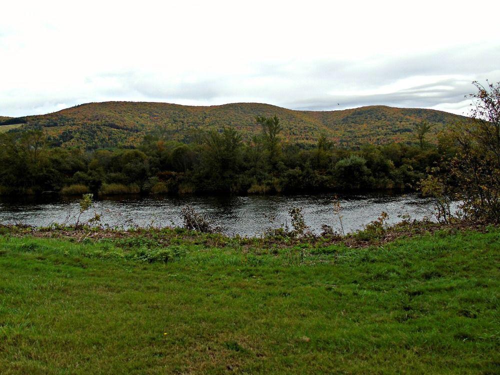 Cajun Cedar Log Cottages Margaree Forks Kültér fotó