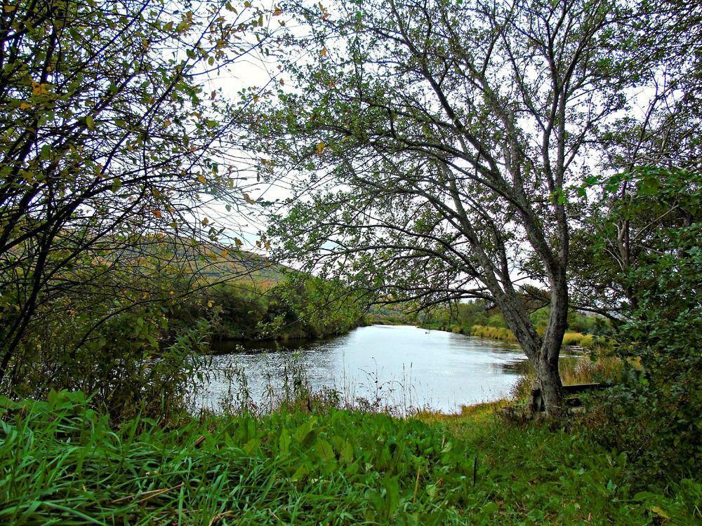 Cajun Cedar Log Cottages Margaree Forks Kültér fotó