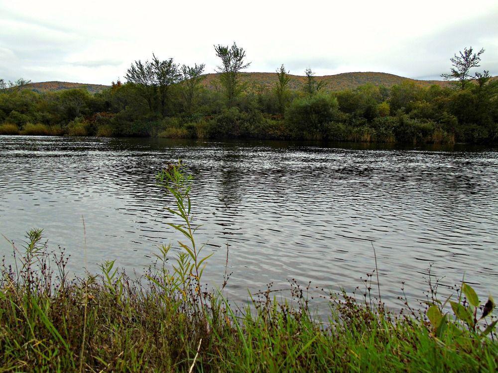 Cajun Cedar Log Cottages Margaree Forks Kültér fotó