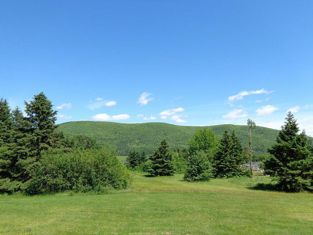 Cajun Cedar Log Cottages Margaree Forks Kültér fotó