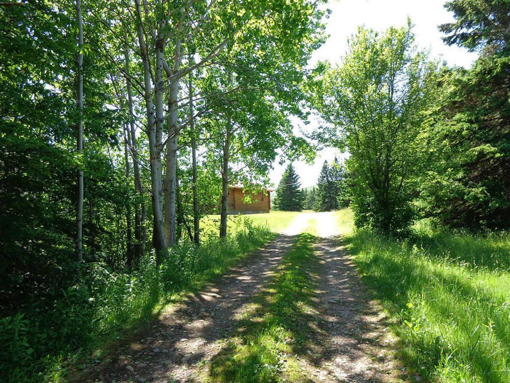 Cajun Cedar Log Cottages Margaree Forks Kültér fotó