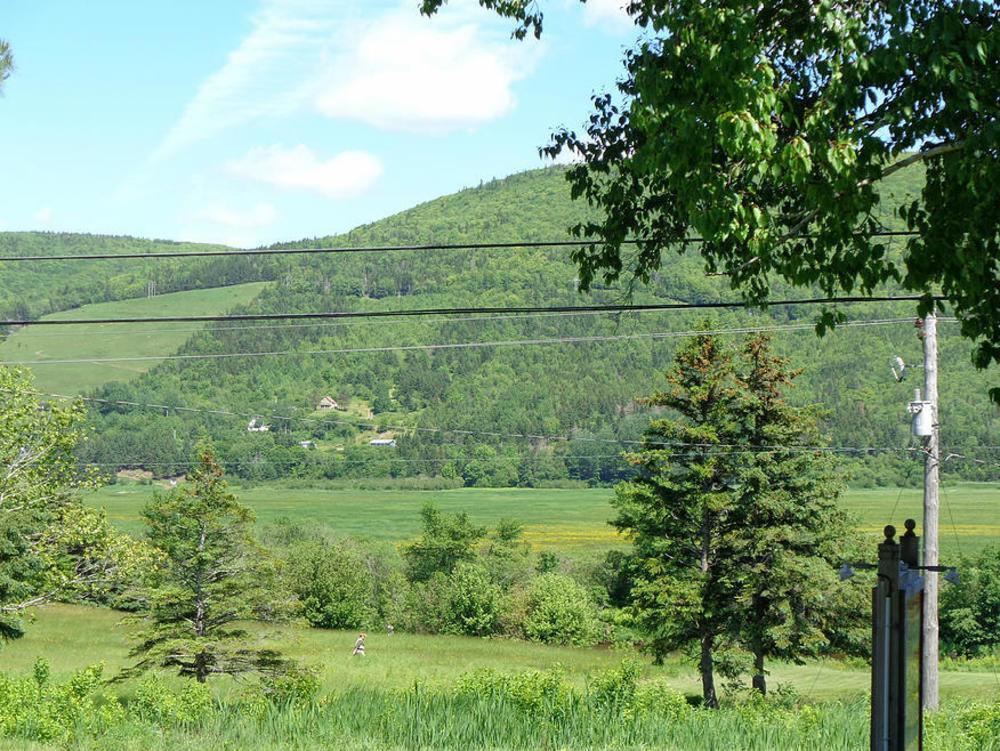 Cajun Cedar Log Cottages Margaree Forks Kültér fotó