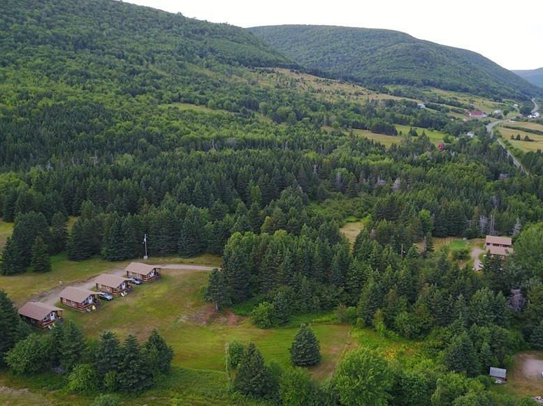 Cajun Cedar Log Cottages Margaree Forks Kültér fotó