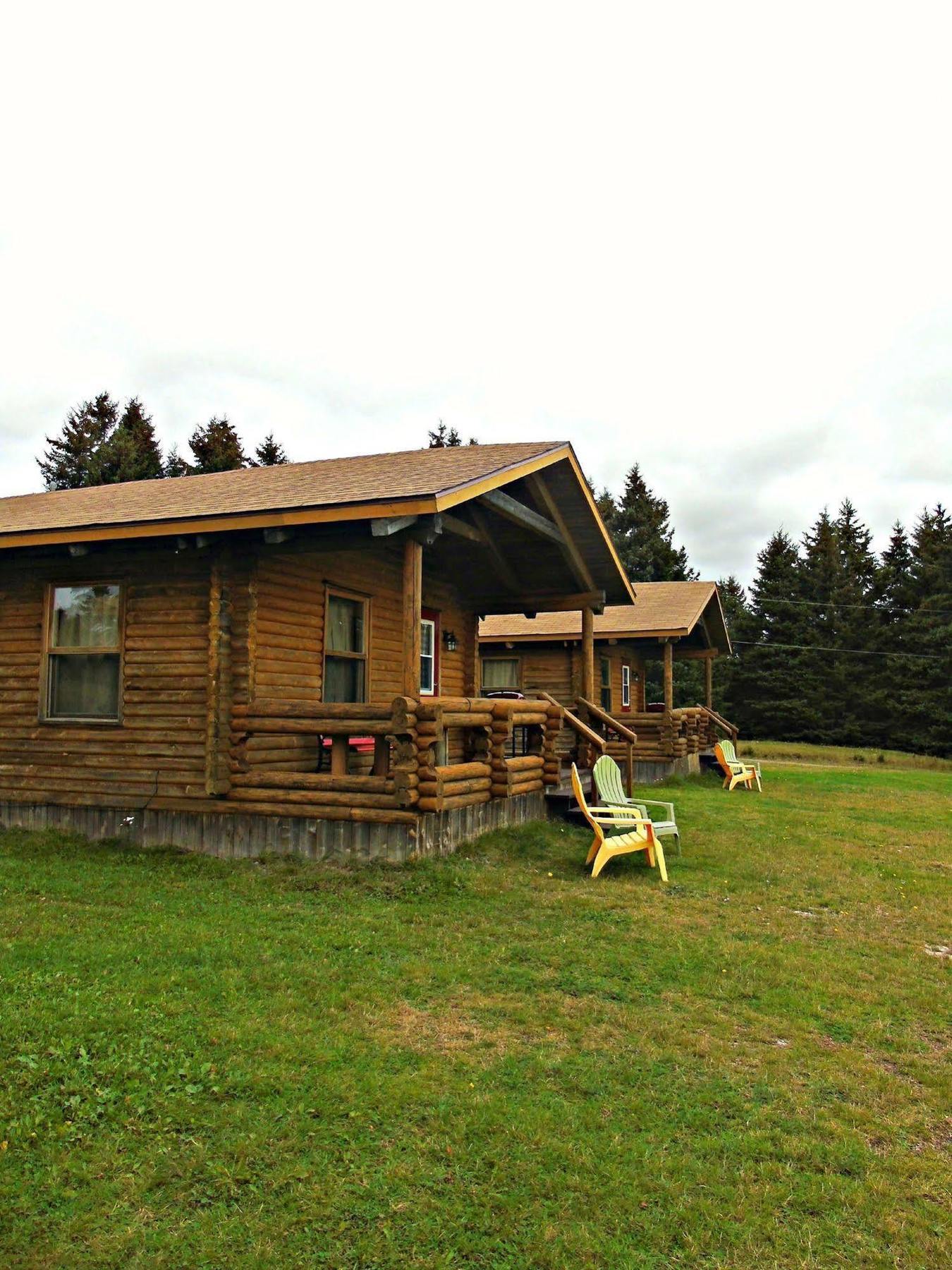Cajun Cedar Log Cottages Margaree Forks Kültér fotó