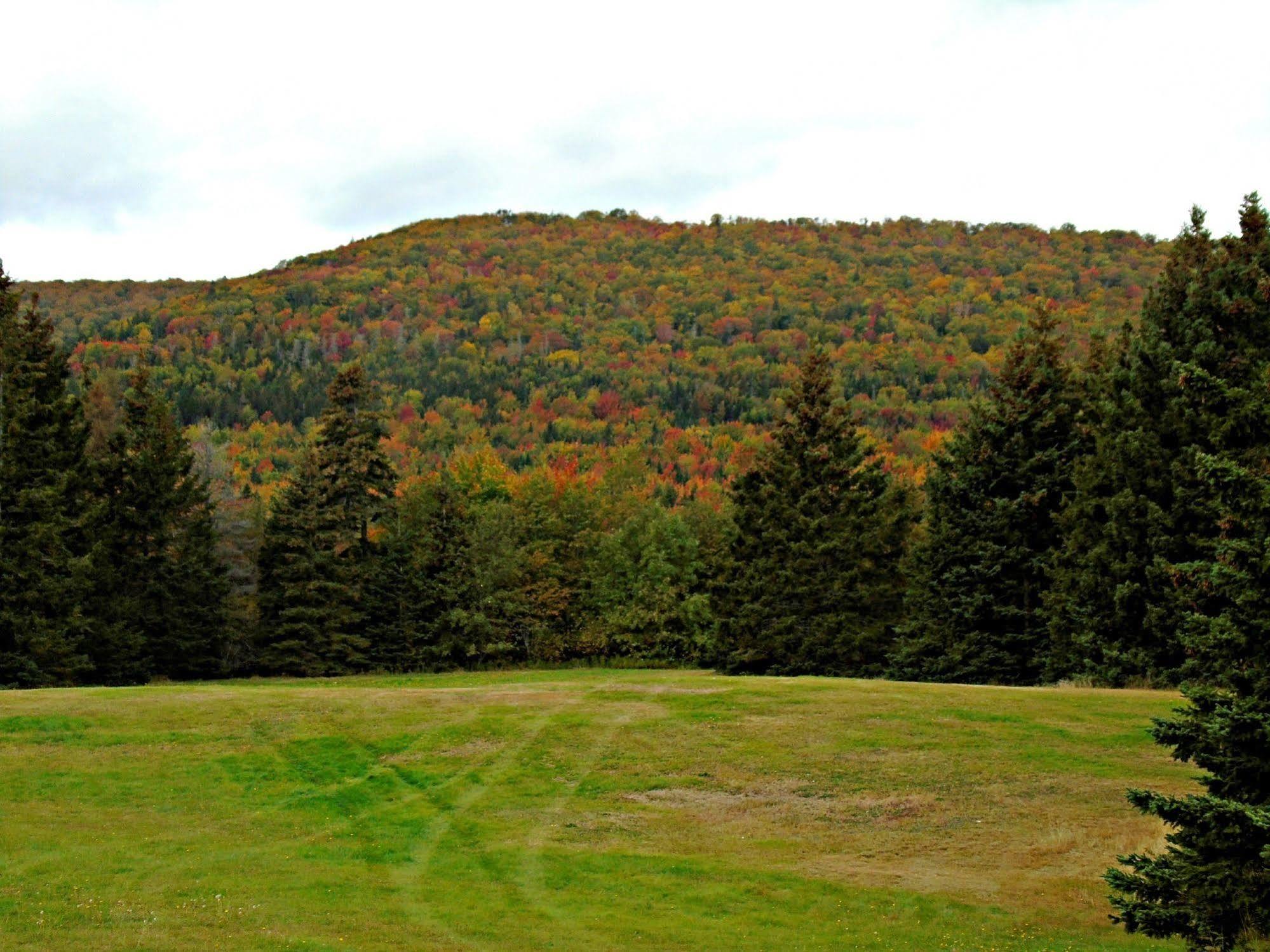 Cajun Cedar Log Cottages Margaree Forks Kültér fotó