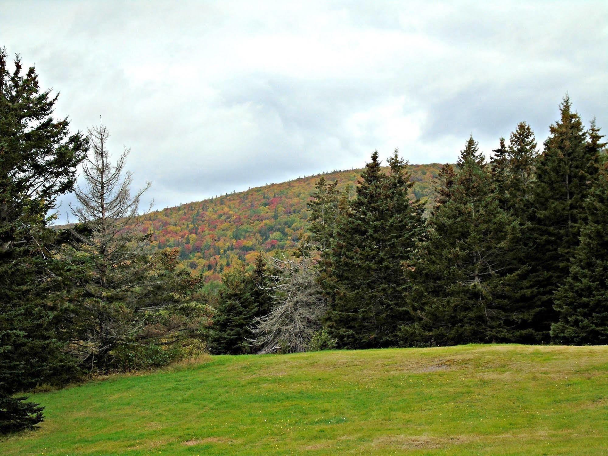 Cajun Cedar Log Cottages Margaree Forks Kültér fotó